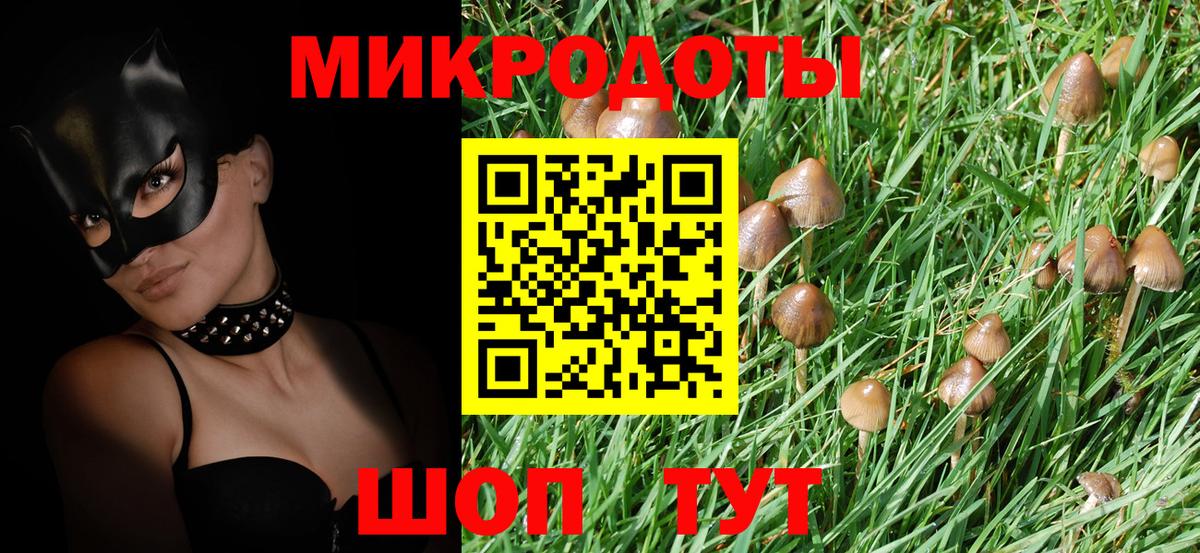 Кинель  Псилоцибиновые грибы Psilocybine cubensis  Галлюциногенные грибы Magic Shrooms  Вход с VPN 