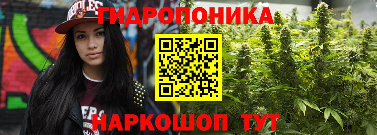 Бошки Шишки THC 21%  МАРИХУАНА White Widow  Кинель  Вход с VPN 